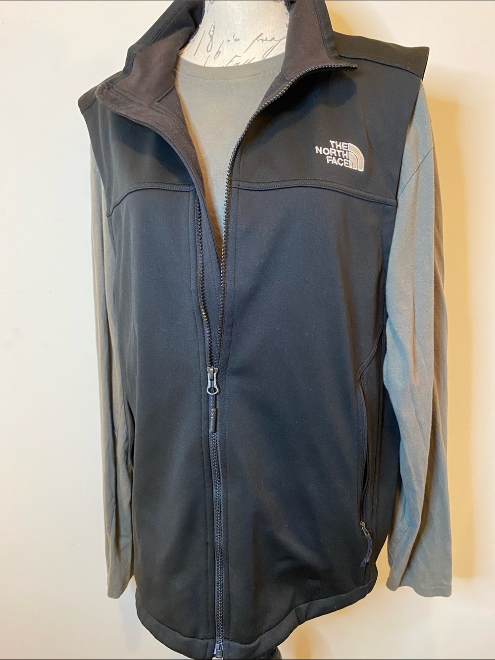 The North Face Canyon-wall Black Men’s Softshell Vest